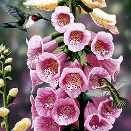 Hummingbirds - Foxgloves by William Vanderdasson