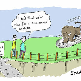 I Don't Think We've Time For A Risk-reward Analysis by Mike Seddon