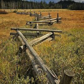 Idaho Mountain Log Fence by Jerry Abbott