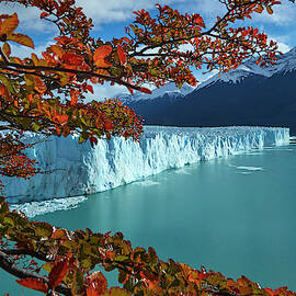 Iguazu Falls, Argentina by David Wall