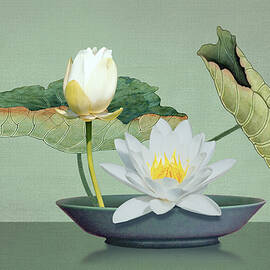Ikebana and Lotus Flower by M Spadecaller