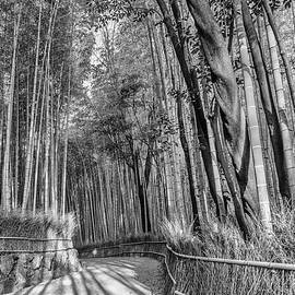 Impressive Arashiyama Bamboo Forest - monochrome by Melanie Viola