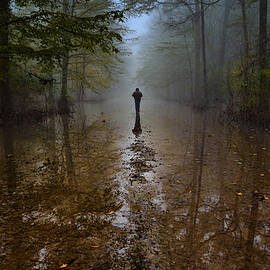 In Pursuit Of The Fog by Srecko Jubic