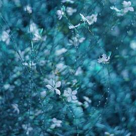 In The Middle Of A Dream by Delphine Devos