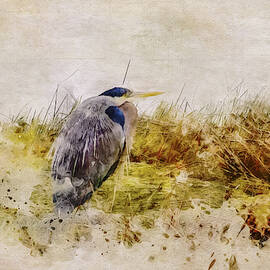 Heron in the Reeds by Marilyn Wilson