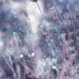 Invitation Do Dreams by Delphine Devos