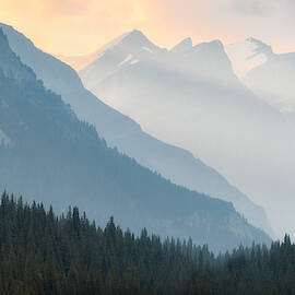 Jasper Splendor by Matt Hammerstein