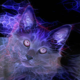 Jimi Hendrix Cat by Peggy Collins