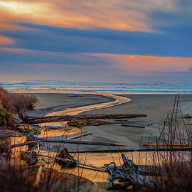 Kalaloch Beach 91 by Mike Penney