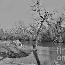 Kankakee River         Spring           Indiana by Rory Cubel