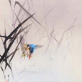 Kingfisher - Digital Remastered Edition by Watanabe Seitei