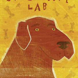 Lab (chocolate) by John W. Golden
