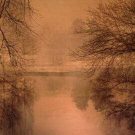 Lake In Winter by Isabelle Dupont
