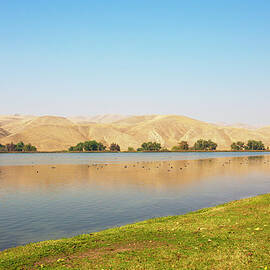 Lake Ming In Bakersfield On A Warm by Lpettet