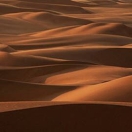 Late Afternoon Light On The Sand Dunes