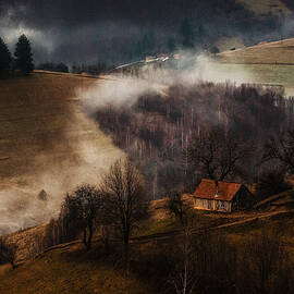 Late Fall by Nafets Norim