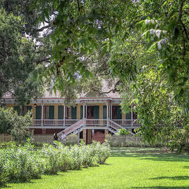 Laura Plantation by Susan Rissi Tregoning
