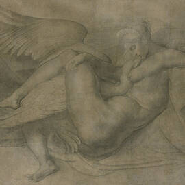 Leda And The Swan, 1530-40 (charcoal On Paper) by Giovanni Battista Rosso Fiorentino