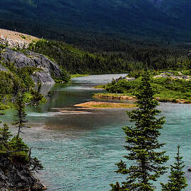 Let's Go Fishing  by Edward Garey