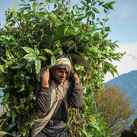 Life in Nepal