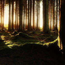 Light My Way by S7evec