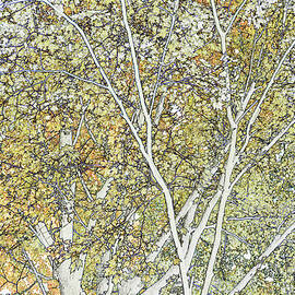 Line Drawing Of Foliage, Leaves And by Michael Duva