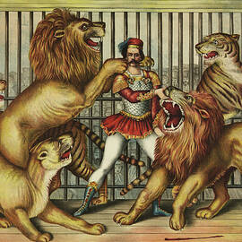 Lion Tamer In Cage With Two Lions by Stocktrek Images