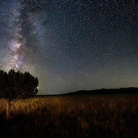 Lone Tree and Milky Way by Michael Ash