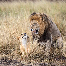 Love Hurts by Jeffrey C. Sink