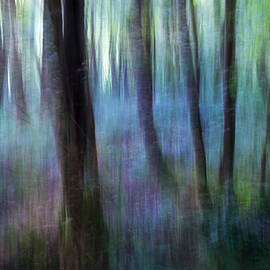 Magical Abstract Image Of A Summer by Andrew Kearton