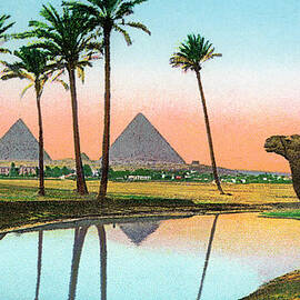 Man On Camel At Giza Pyramids by Graphicaartis
