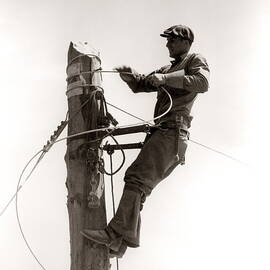 Man Worker, Working Atop Utility Pole by H. Armstrong Roberts