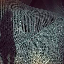 Mesh by Roxana Labagnara