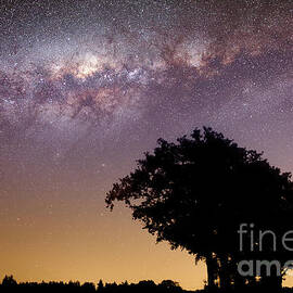Milky way with tree starry sky by Gregory DUBUS