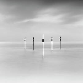 Minimal Posts Are Arranged by Doug Chinnery