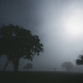 Misty Land by Uschi Hermann