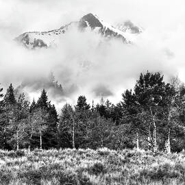 Montana Mist by Randall Dill