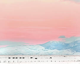 Montana Winter Sunset Sky by Jennie Marie Schell