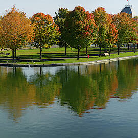 Montreal Old Port