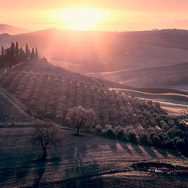 Morning Tuscany by Fabrizio Massetti