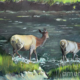 Mother Elk and Calf by Jan Dappen