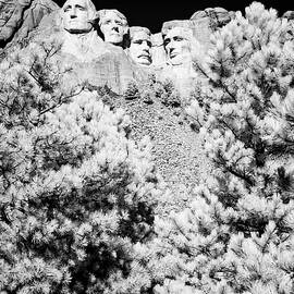 Mount Rushmore in a Different Light by Cathy Franklin