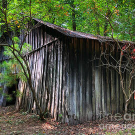 Natchez Barn by Kathy M Krause