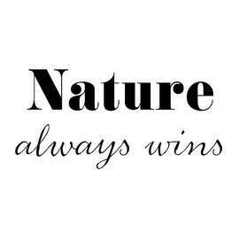 Nature Always Wins by 1x Studio Ii