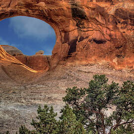 Nature's Window - Arches National Park by Nikolyn McDonald