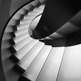 Next Level by Filipe P Neto