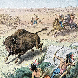North American Indians Hunting Buffalo by Print Collector
