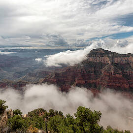 North Rim Fog 4 - Grand Canyon National Park - Arizona by Brian Harig