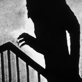 Nosferatu The Vampire by European School