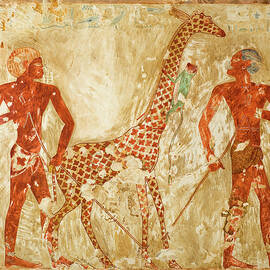 Nubians With A Giraffe And A Monkey by SCIENCE SOURCE